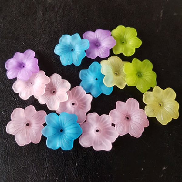 15 Flowers N&deg;02 assorted