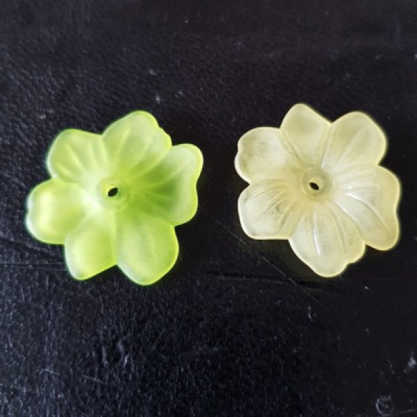 15 Flowers N&deg;02 assorted