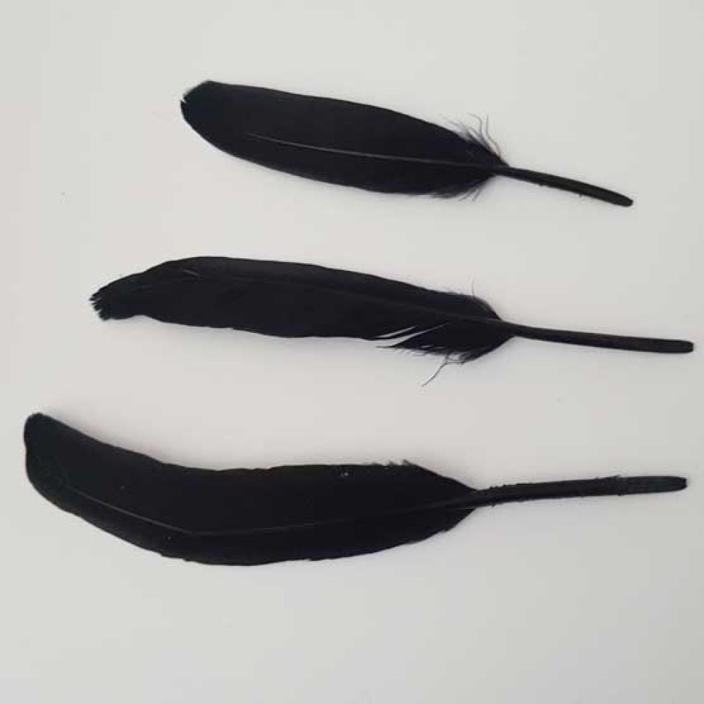 1 Plume 15 cm N°01 Noir