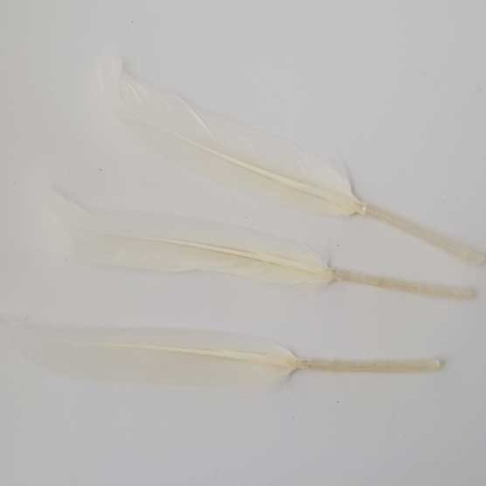 3 Plumes 15 cm N°01 Blanc