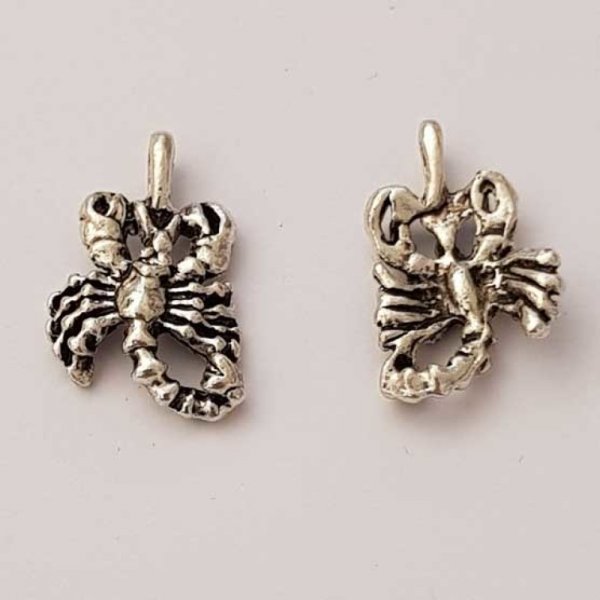 Zodiac sign charm Scorpio Silver Metal N&deg;01