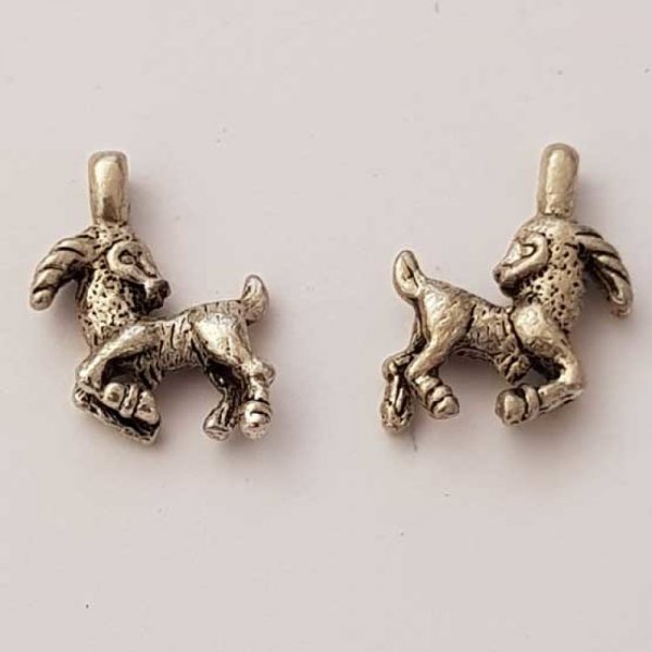 Zodiac sign charm Capricorn Silver Metal N&deg;01