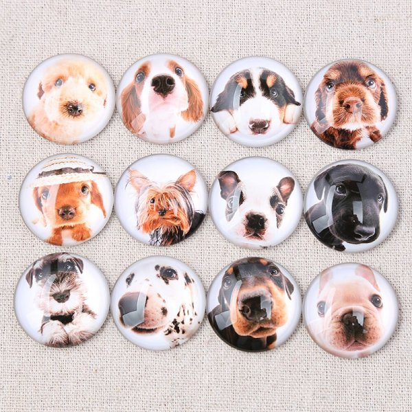 Lot 24 round glass cabochons 25mm Mixed Dog Glass cabochon 