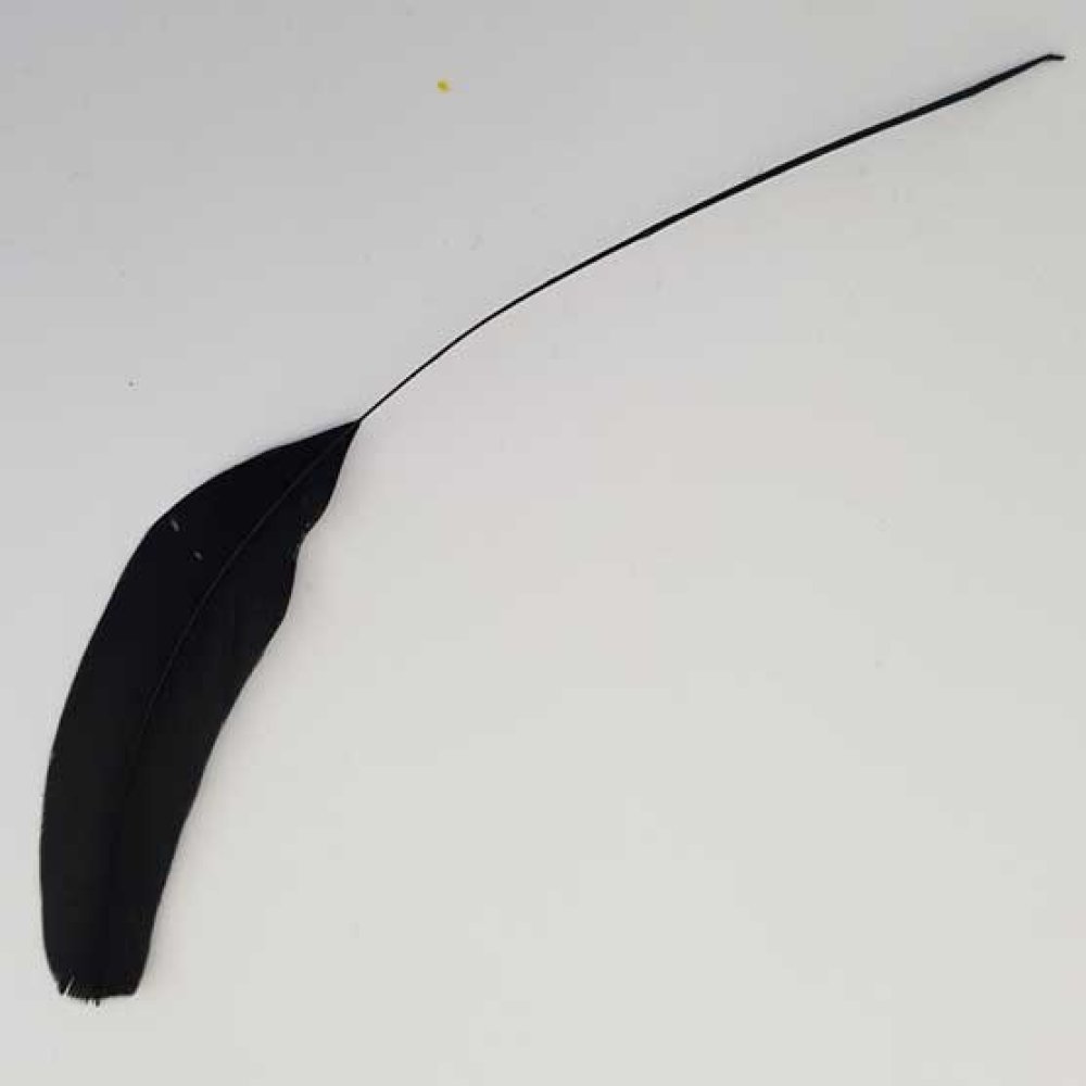 Plume 16 cm N°02 Noir