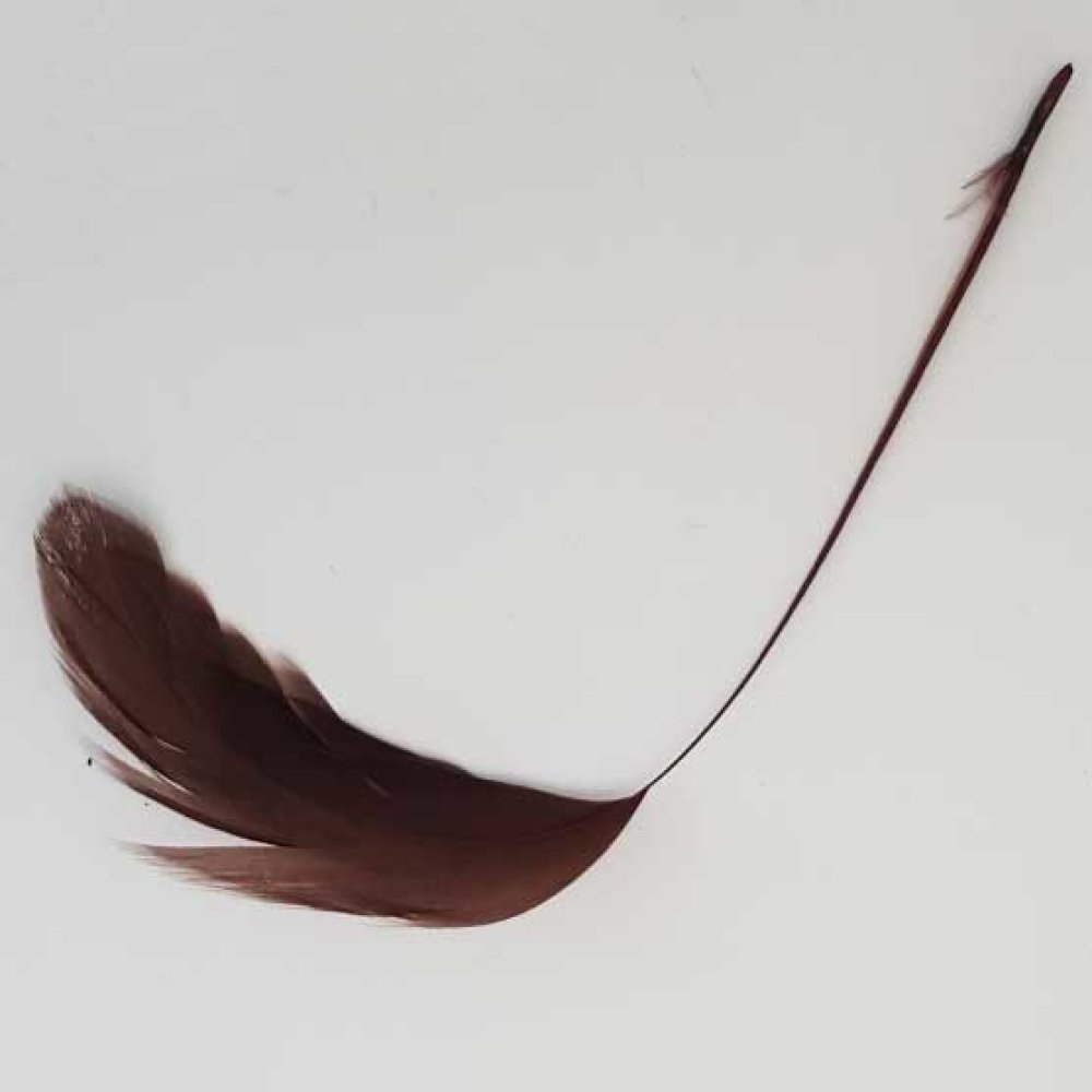 Plume 16 cm N°05 Marron