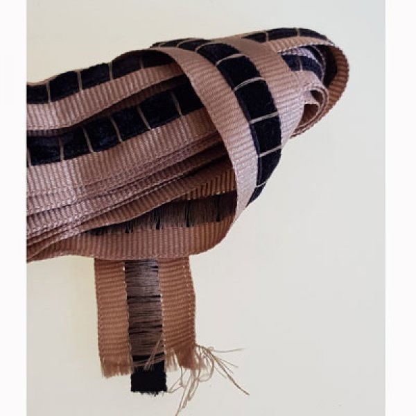 Fancy Ribbon N&deg;077 coupon of 2 meters