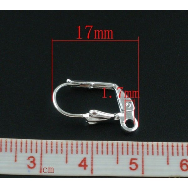 Sleeper Earring Holder N&deg;20 x 5 Pairs