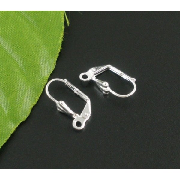 Sleeper Earring Holder N&deg;20 x 25 Pairs