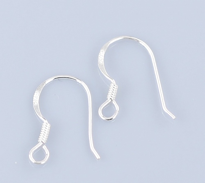 Silver Hook Earring Holder 925 N&deg;02 x 1 pair
