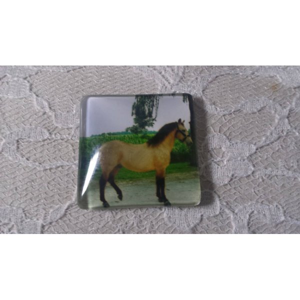 square glass cabochon 30mm 007 