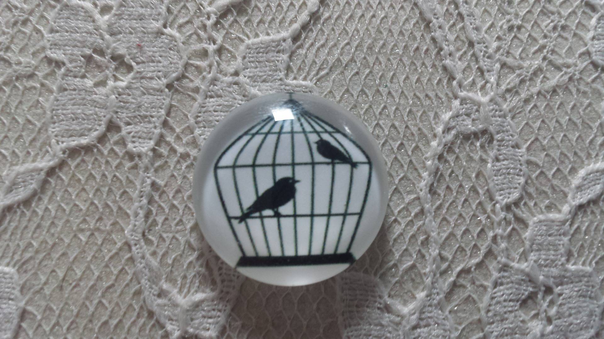 round glass cabochon 10mm birds 009 