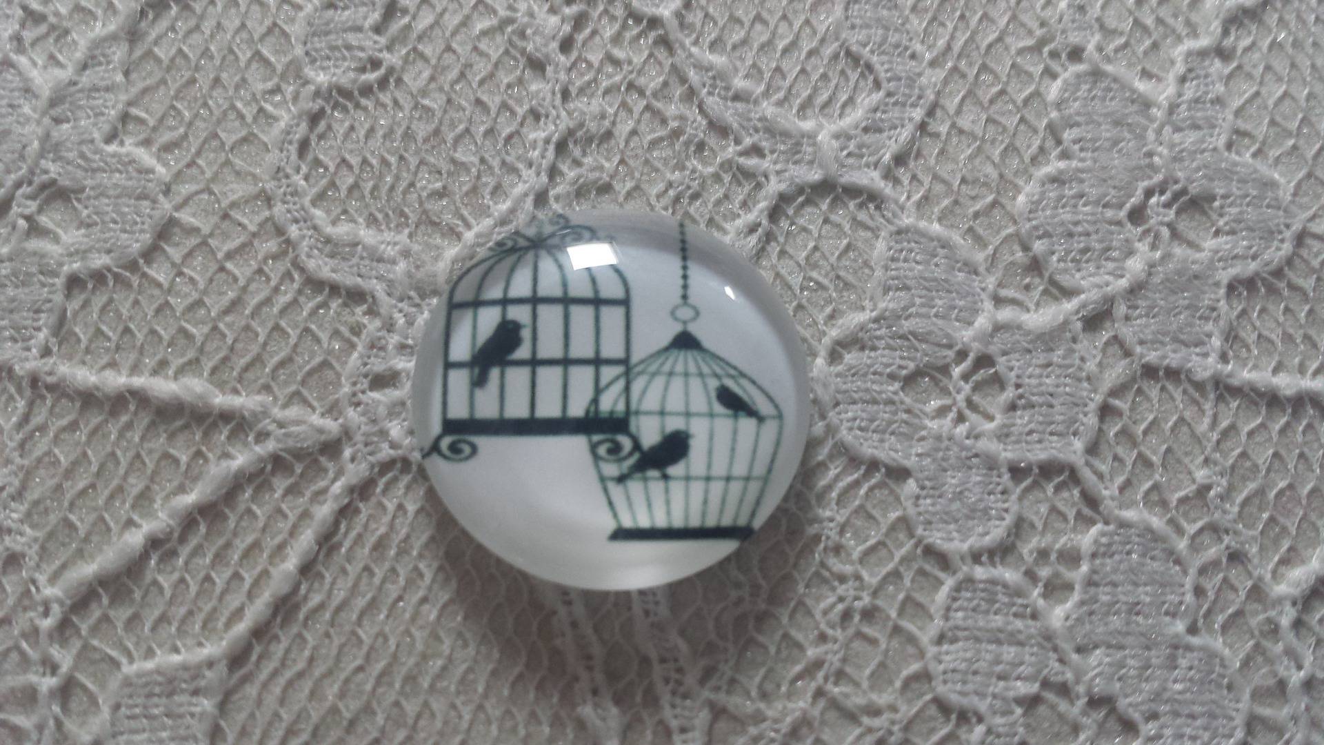 round glass cabochon 10mm birds 003 