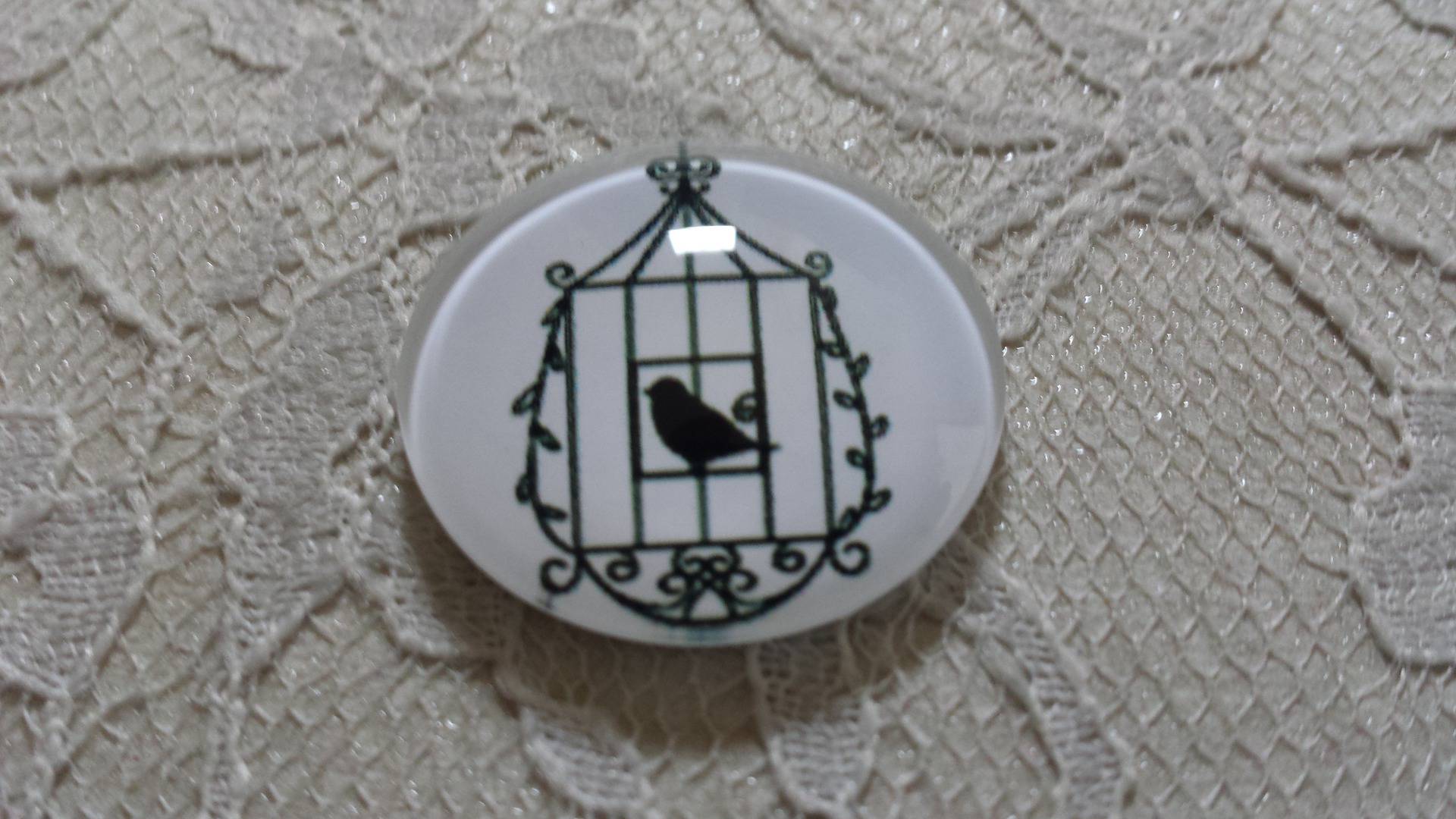 round glass cabochon 25mm birds 023 