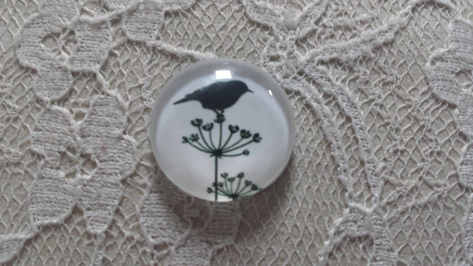 round glass cabochon 25mm birds 019 