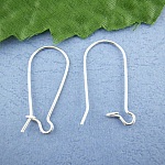 Earring Holder Sleeper 24mm N°02 x 20 Pairs