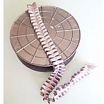 Fancy ribbon N°059 by the meter