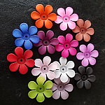 15 Assorted Daisy Flowers