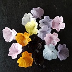 15 Flowers N°01 assorted