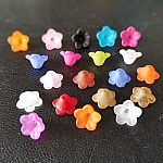 20 Assorted Forget-me-not flowers