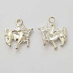 Zodiac sign charm Sagittarius Silver Metal N°05