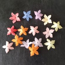 15 Assorted Forcicia Flowers