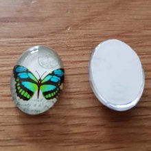 Oval Cabochon 13 x 18 mm Butterfly N°02