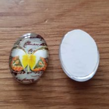 Cabochon Oval 13 x 18 mm Butterfly N°04