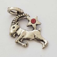 Zodiac sign charm Capricorn Silver Metal N°03 with rhinestones