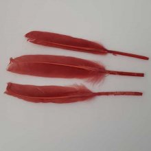 3 Plumes 15 cm N°01 Rouge