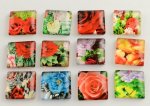 10 glass cabochons square 20 mm assorted Flowers S-22-20-17