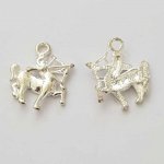 Zodiac sign charm Sagittarius Silver Metal N°05