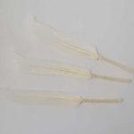 3 Plumes 15 cm N°01 Blanc