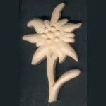 Edelweiss hand carved waxed nature