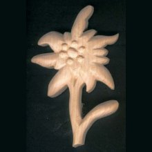 Edelweiss carved unwaxed