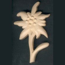 Edelweiss hand carved waxed nature