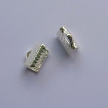 Clamping tips silver 10 mm x 2