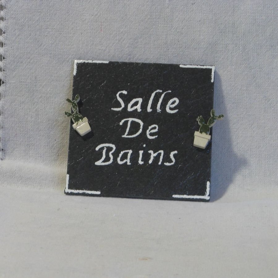 Bathroom Door Sign in Enameled Slate Cactus Pattern 