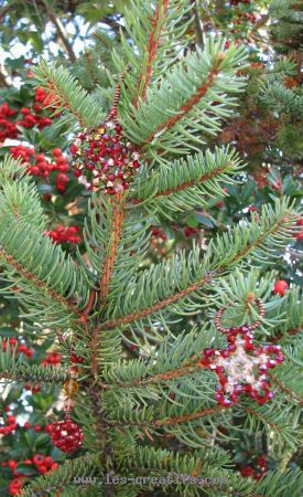 Hanging Christmas lights with crystal beads