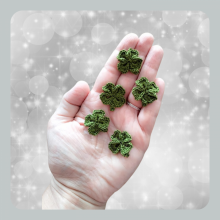 4 leaf clover - fir green