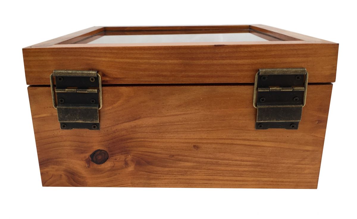 Wooden box inclined and its glass lid. Model: marine anchor.