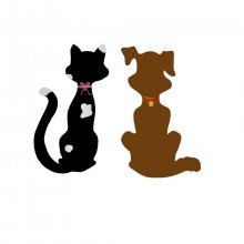 Couple cat and dog in wall decoration 