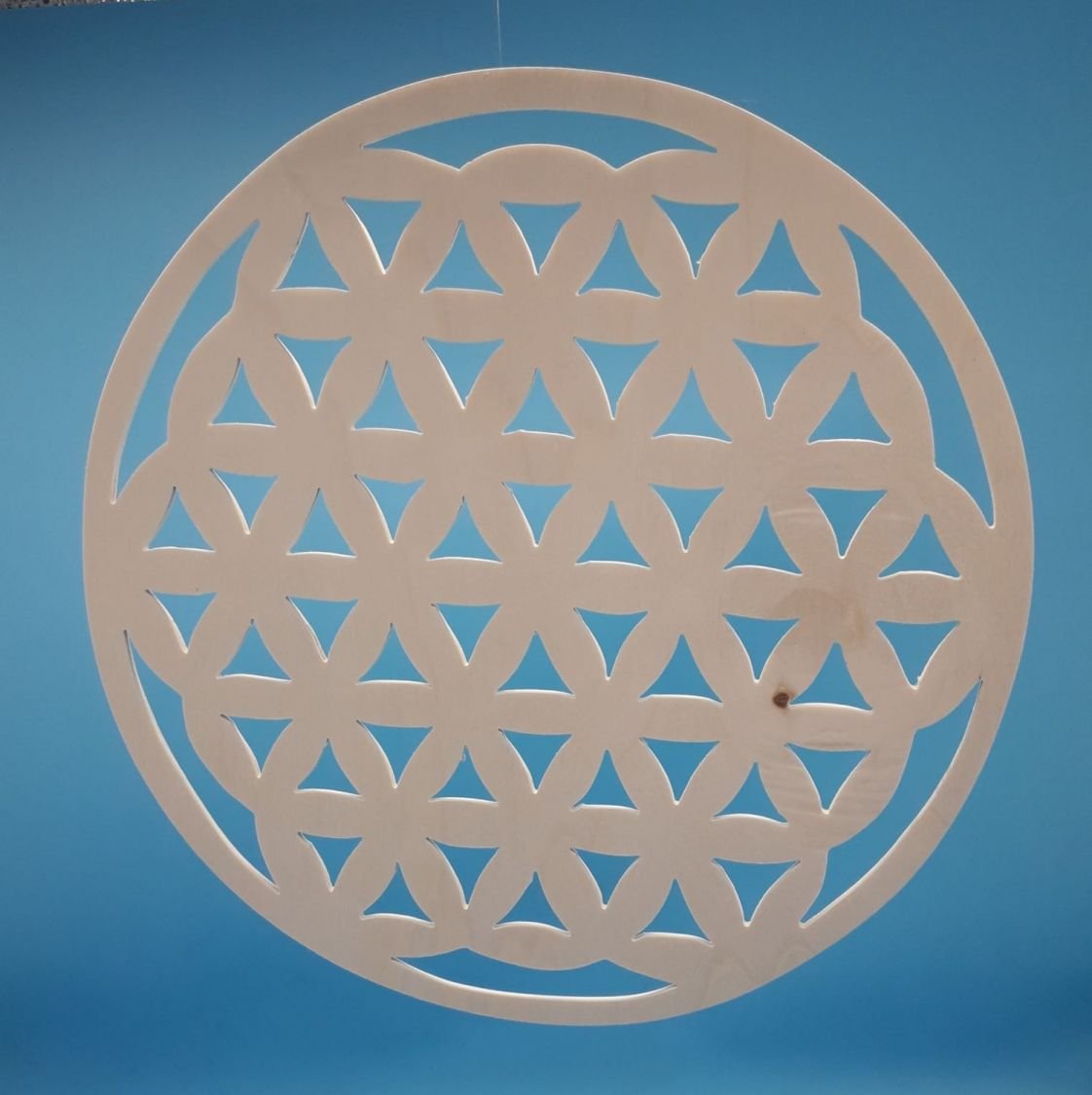 Harmoniously cut flower of life