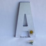 ALTERNATE GOTHIC decorative wall mirror letter