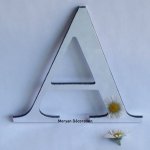 Decorative mirror letter CENTURY