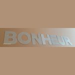 Zinc decorative letter BONHEUR 10 cm