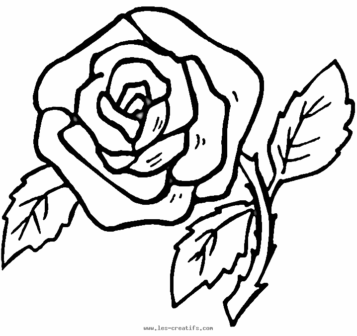 modèle windows color coloriage rose